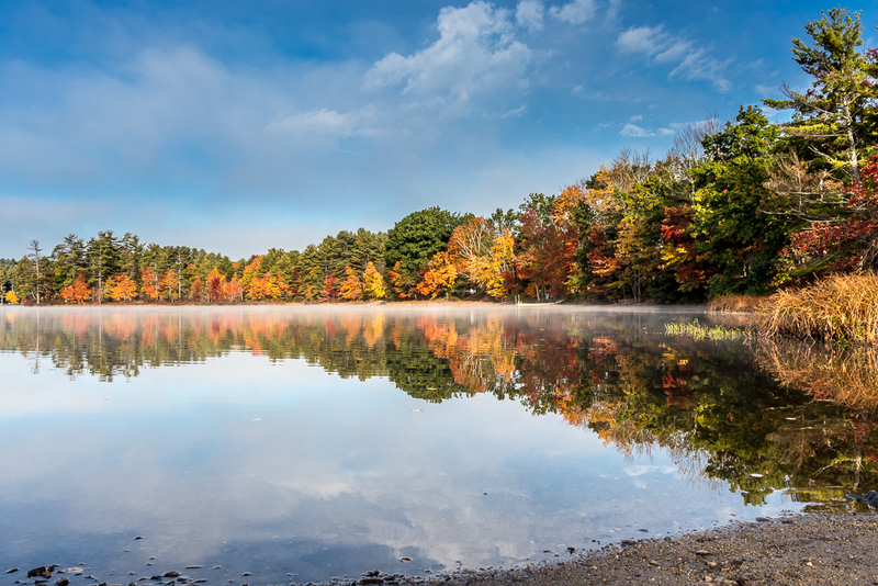 The Pond-3438(1).jpg