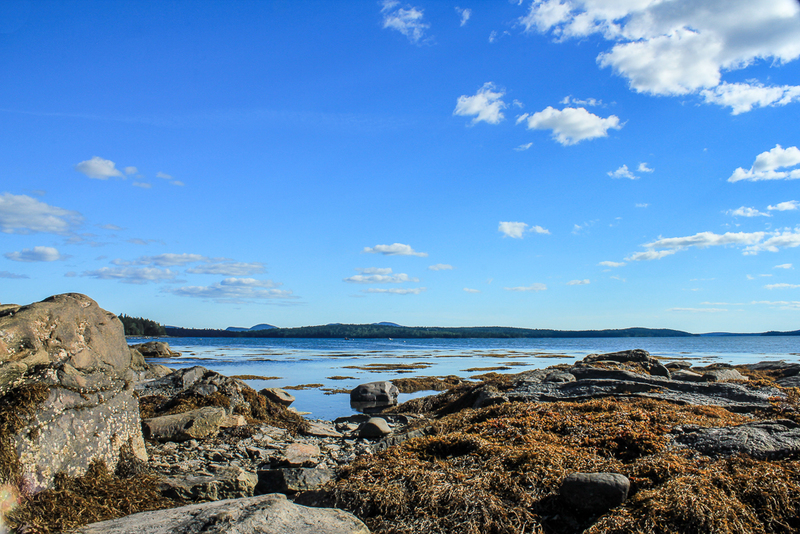 Tide pooling-IMG_8119(1).jpg