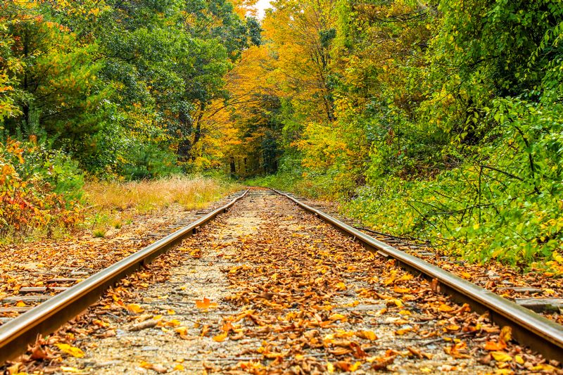 Track Lost in Time_IMG_5559.jpg