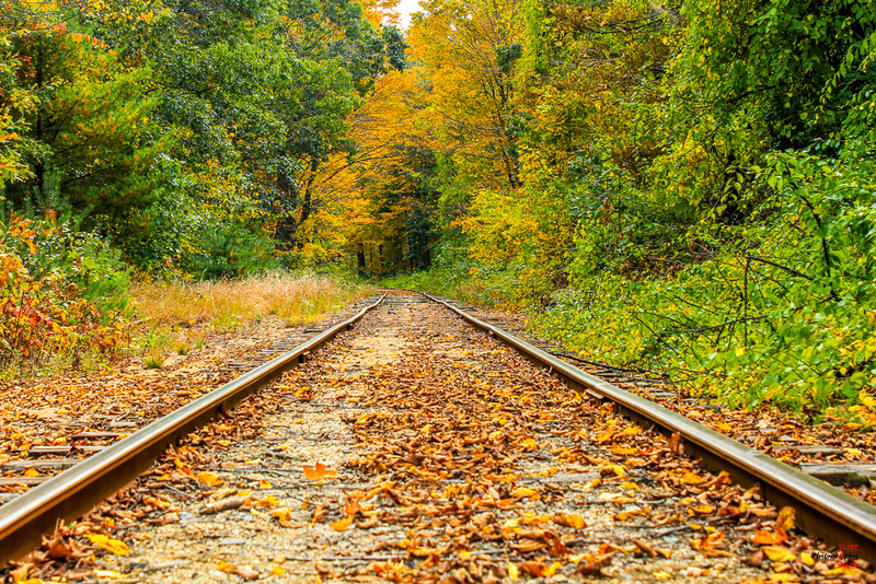 Tracks Lost in Time_IMG_5559(1).jpg