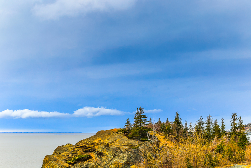 Turnagain Arm IMG_2211-2(1).jpg