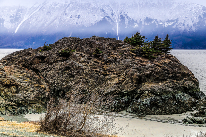 Turnagain Arm-(1).jpg