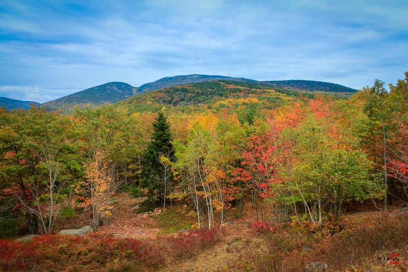 Valley View_MG_1668(1).jpg
