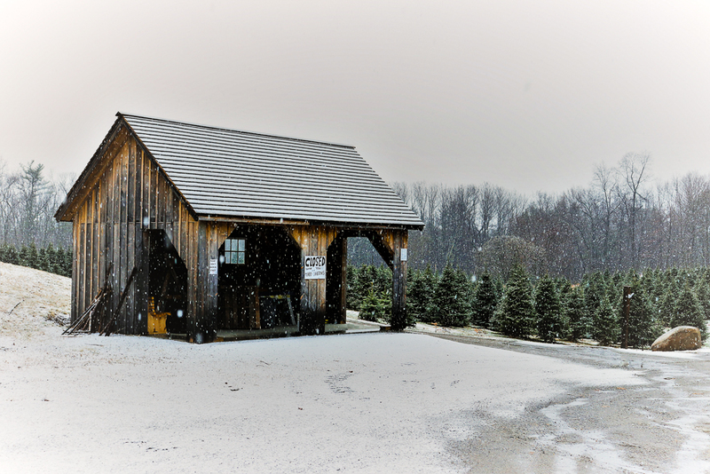 Waiting for Christmas-IMG_1844(1).jpg