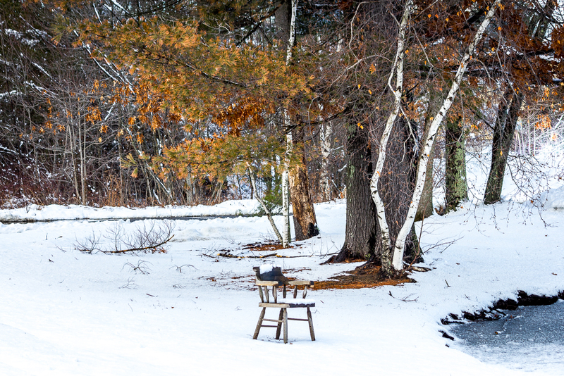 Waiting-9948(1).jpg