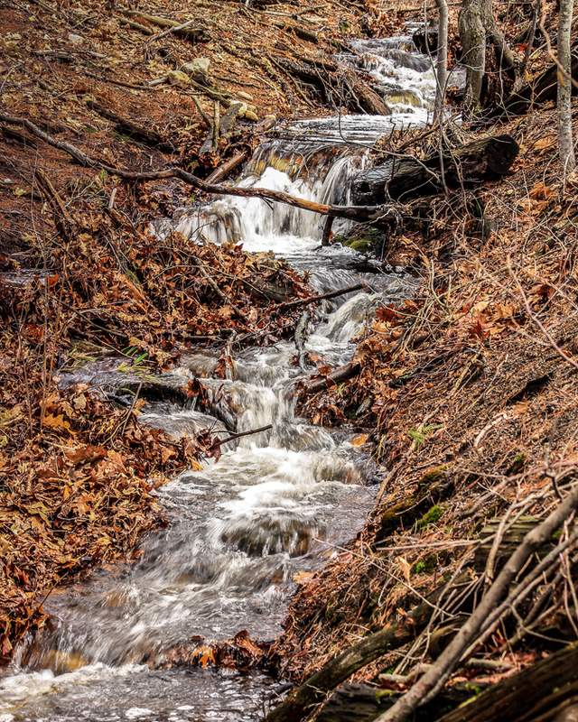 Waterfall Creek-8475(1).jpg