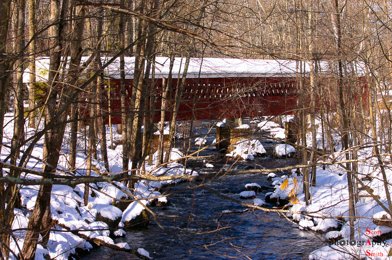 Winter Crossing(1).jpg