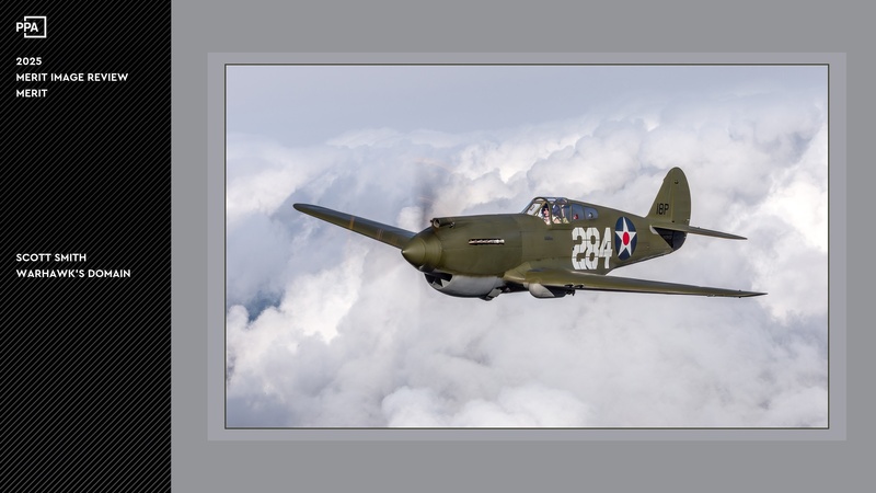 Warhawks Domain (P-40E).jpg