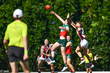 D8S_7031.jpg