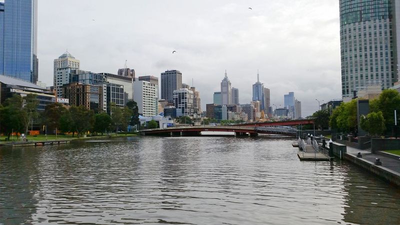 20141117_081352.jpg