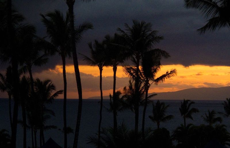 Beach at sunet.jpg