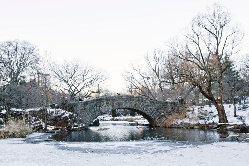 Bridge in Central Park (3)1.jpg