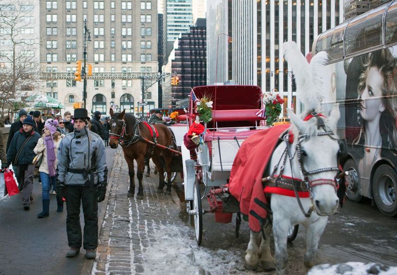 Horse and cart by Central Park.jpg