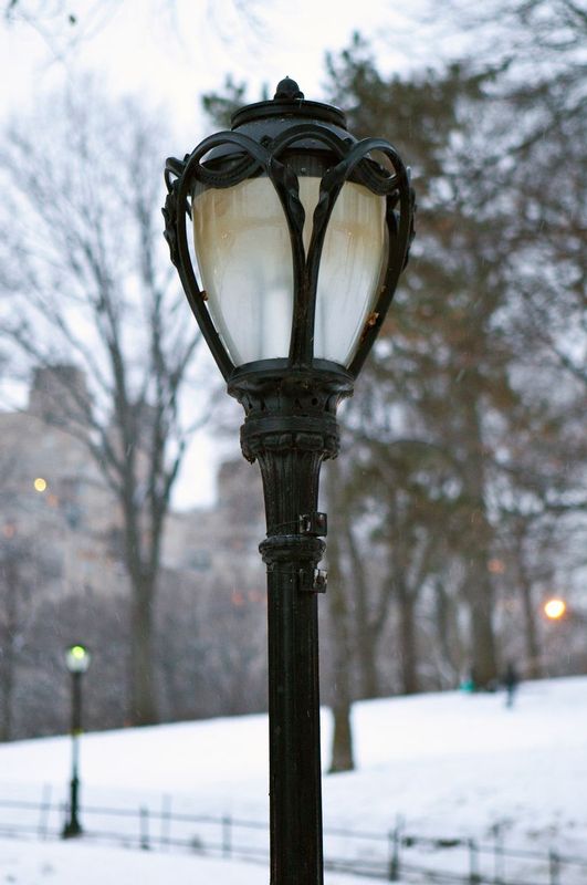 Lampost in Central Park (2).jpg