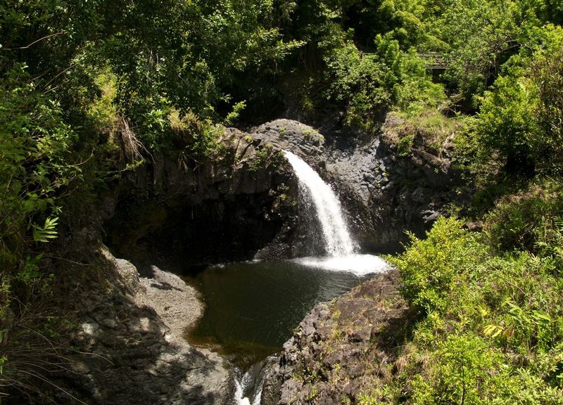 Waterfall in pool.jpg