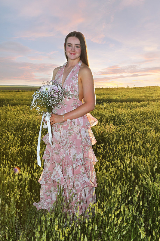 dress 23 B(2).jpg