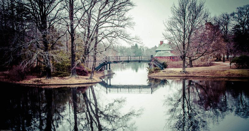 bridge.jpg