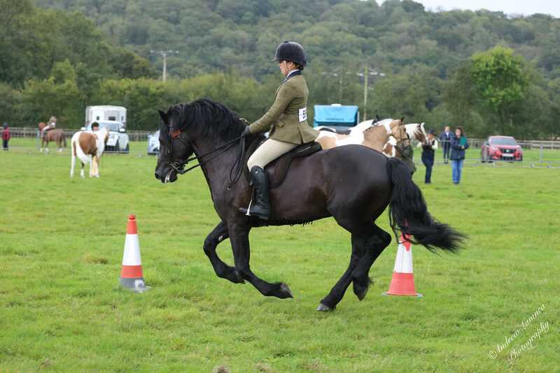 CHSS0445.jpg