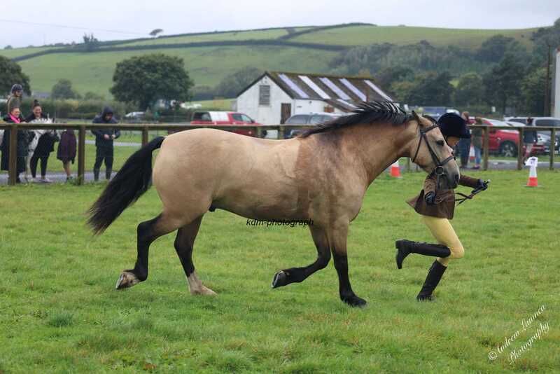 CHSS1254.jpg