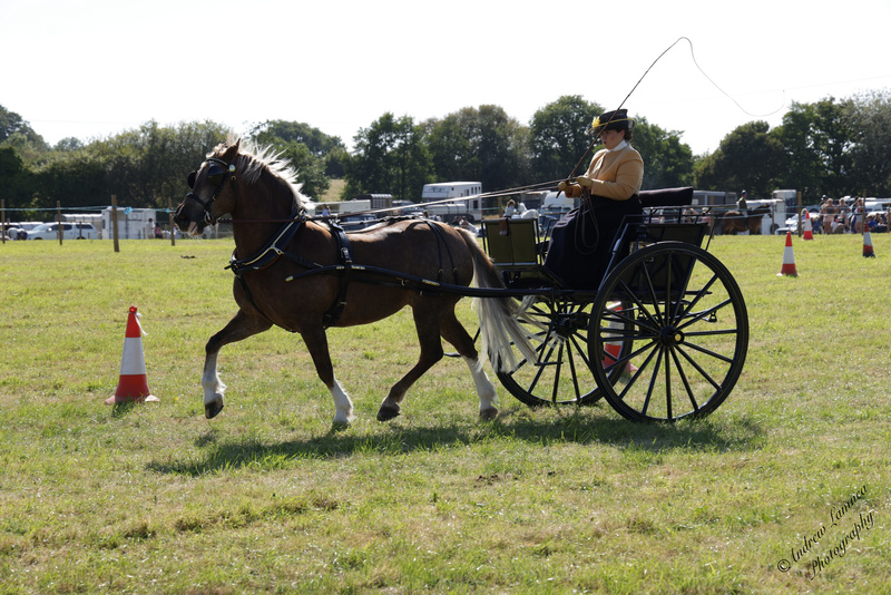 PBHS2868.jpg