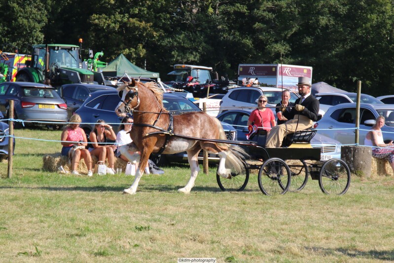 PHS_7193.jpg