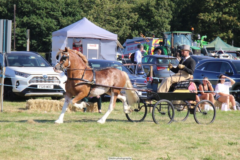PHS_7197.jpg