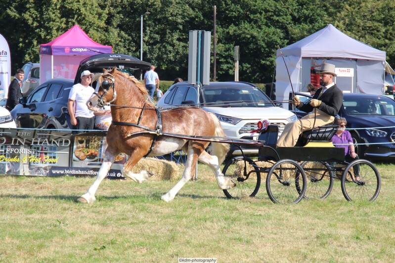 PHS_7199.jpg
