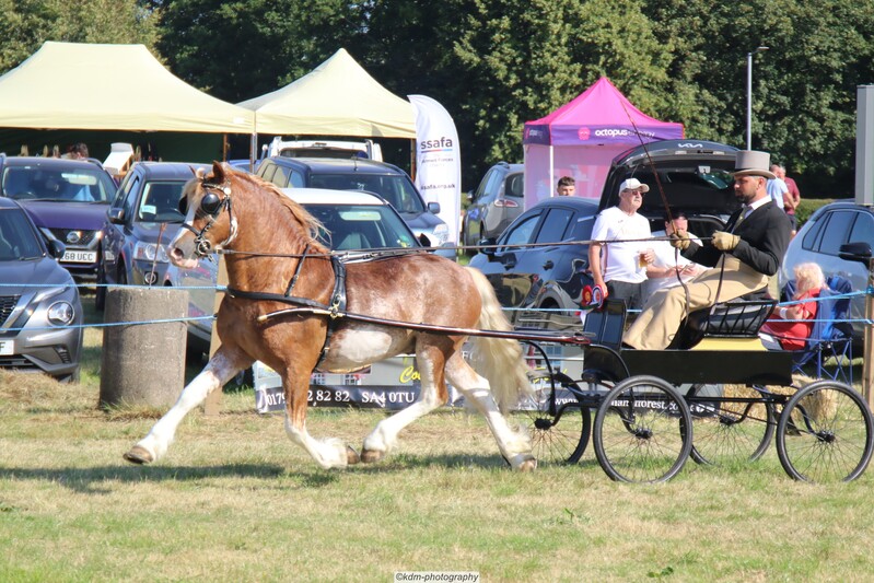 PHS_7203.jpg