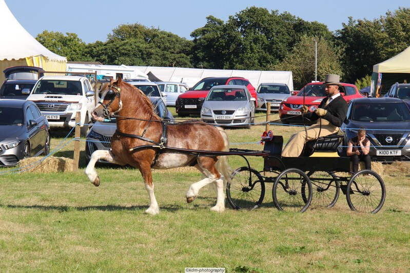 PHS_7205.jpg