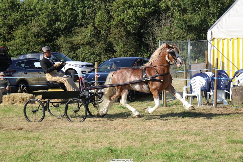 PHS_7217.jpg
