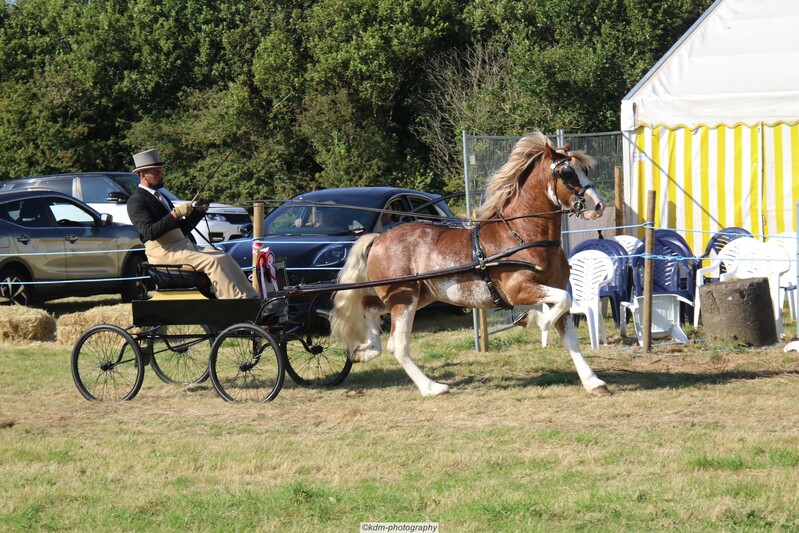 PHS_7218.jpg