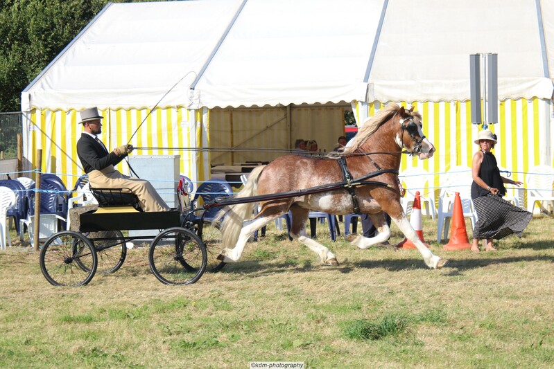 PHS_7223.jpg