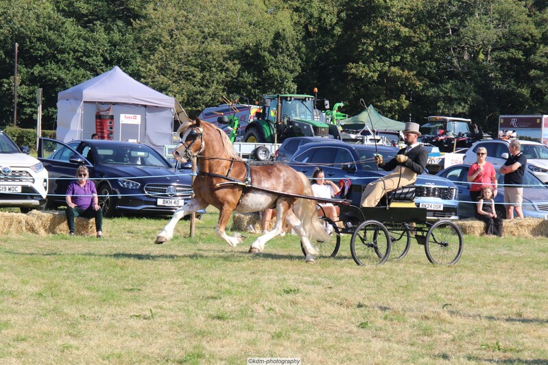 PHS_7233.jpg
