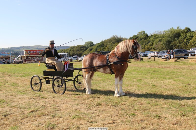 PHS_7240.jpg