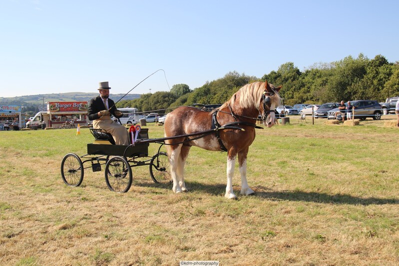 PHS_7241.jpg