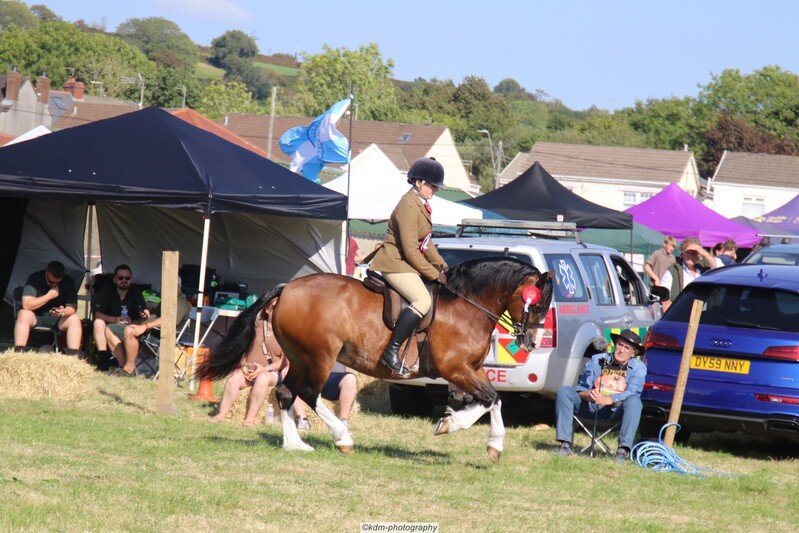 PHS_7253.jpg