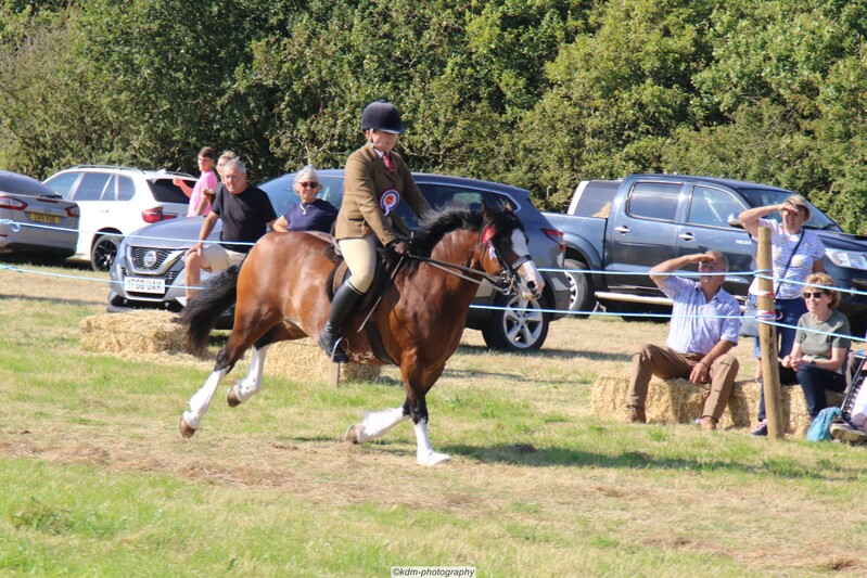 PHS_7271.jpg