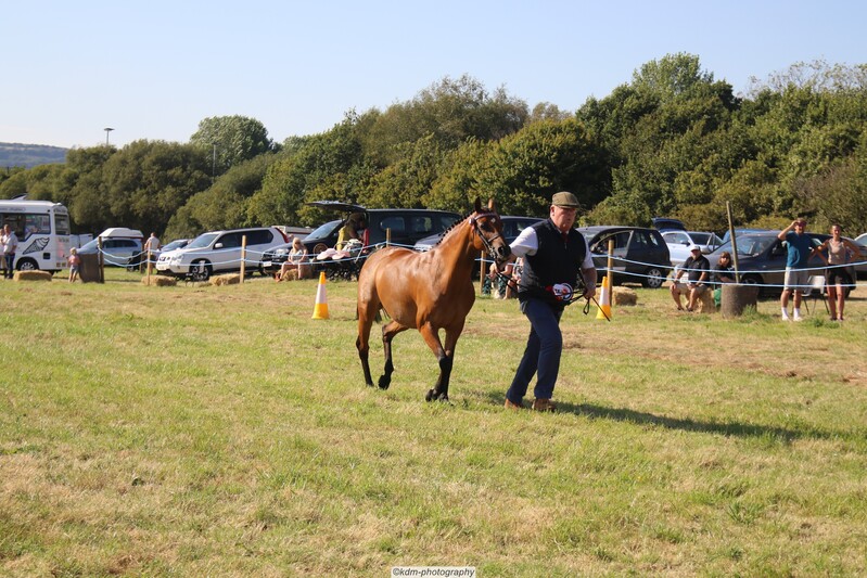 PHS_7302.jpg