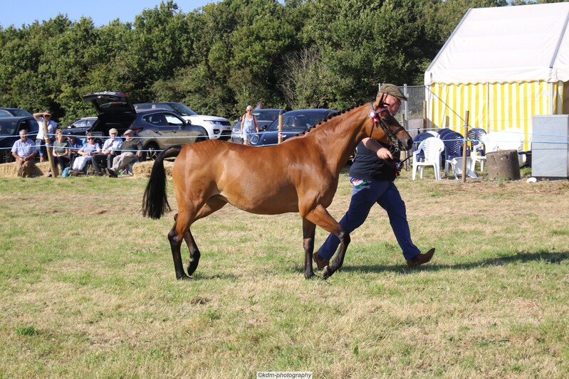 PHS_7313.jpg