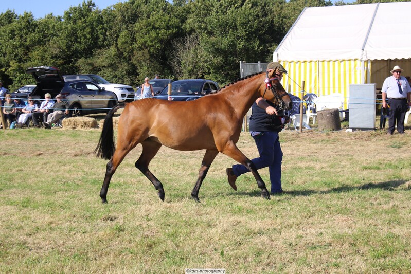 PHS_7314.jpg