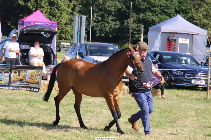PHS_7329.jpg