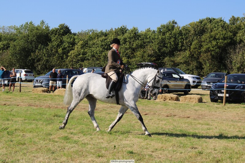 PHS_7333.jpg
