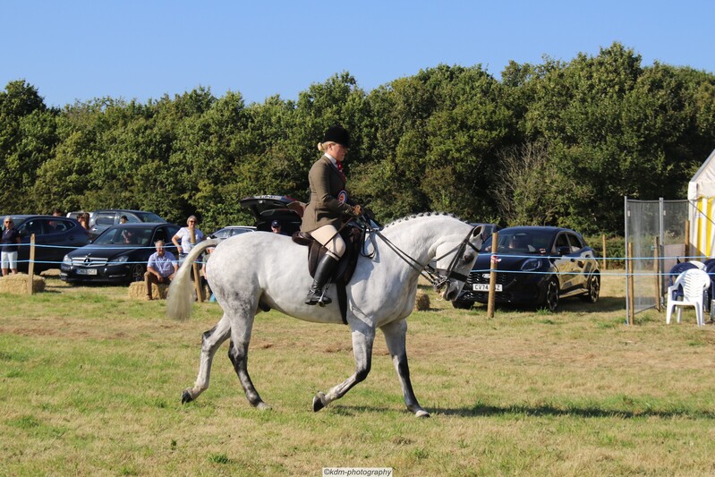 PHS_7336.jpg