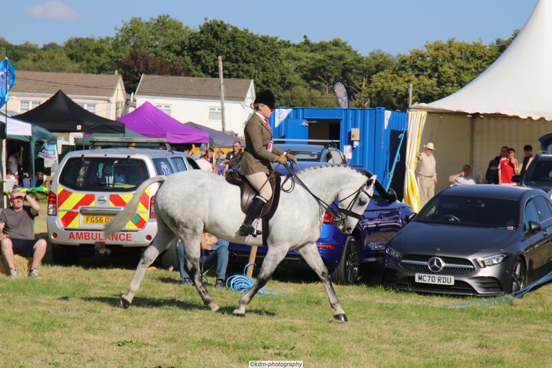 PHS_7340.jpg