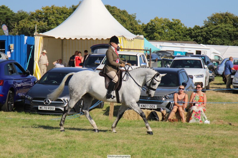 PHS_7346.jpg