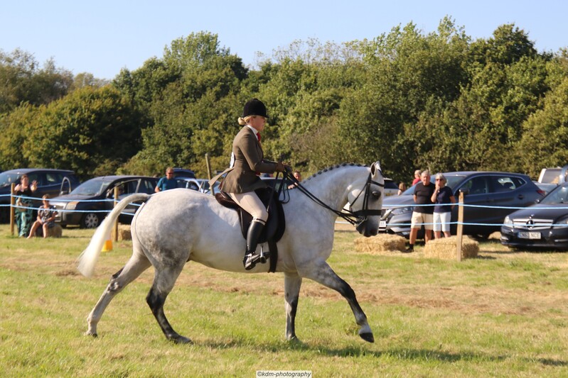 PHS_7374.jpg