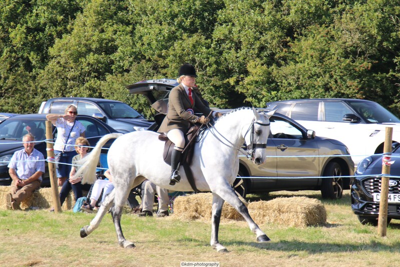 PHS_7387.jpg