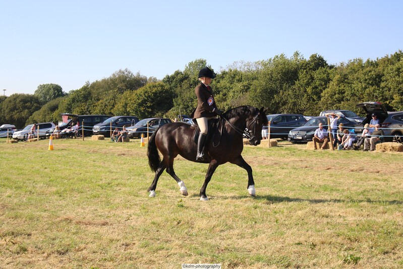 PHS_7394.jpg