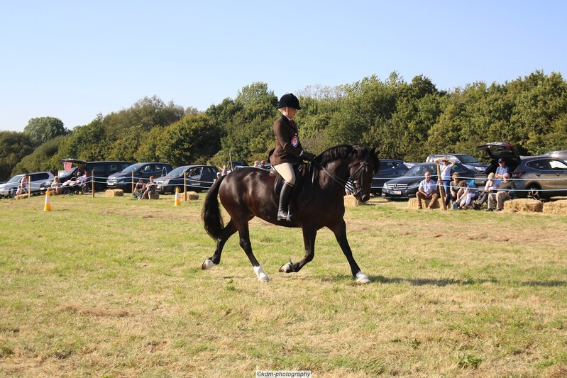 PHS_7395.jpg