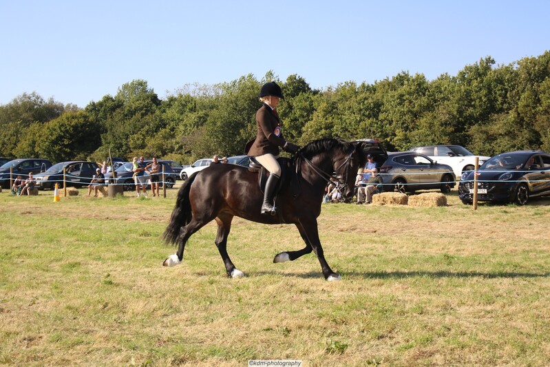 PHS_7397.jpg
